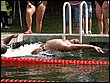 volyne08-065.jpg