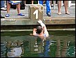 volyne08-075.jpg