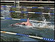 volyne_09-120.jpg