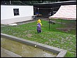volyne2010-093.jpg