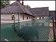 volyne2010-115.jpg